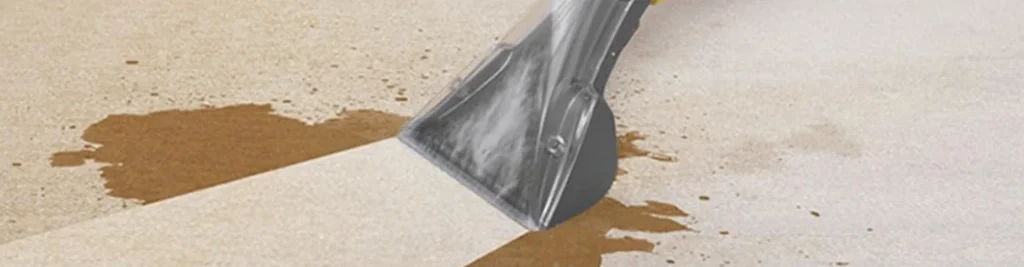 Kuşadası Koltuk Yıkama